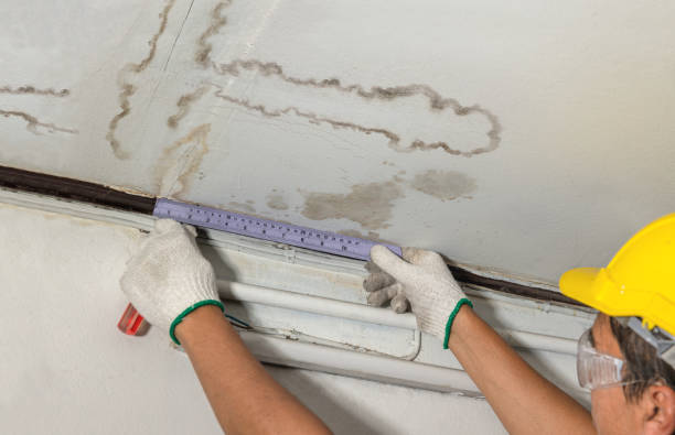 Reliable Water Damage contractor in Tehuacana, TX by Water Damage Irwin